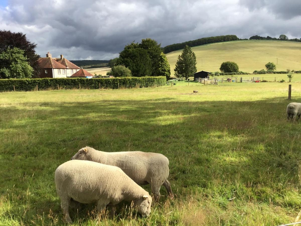 Charlton End - Goodwood Events Bed & Breakfast Chichester Eksteriør bilde